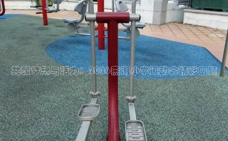 运达娱乐官网入口